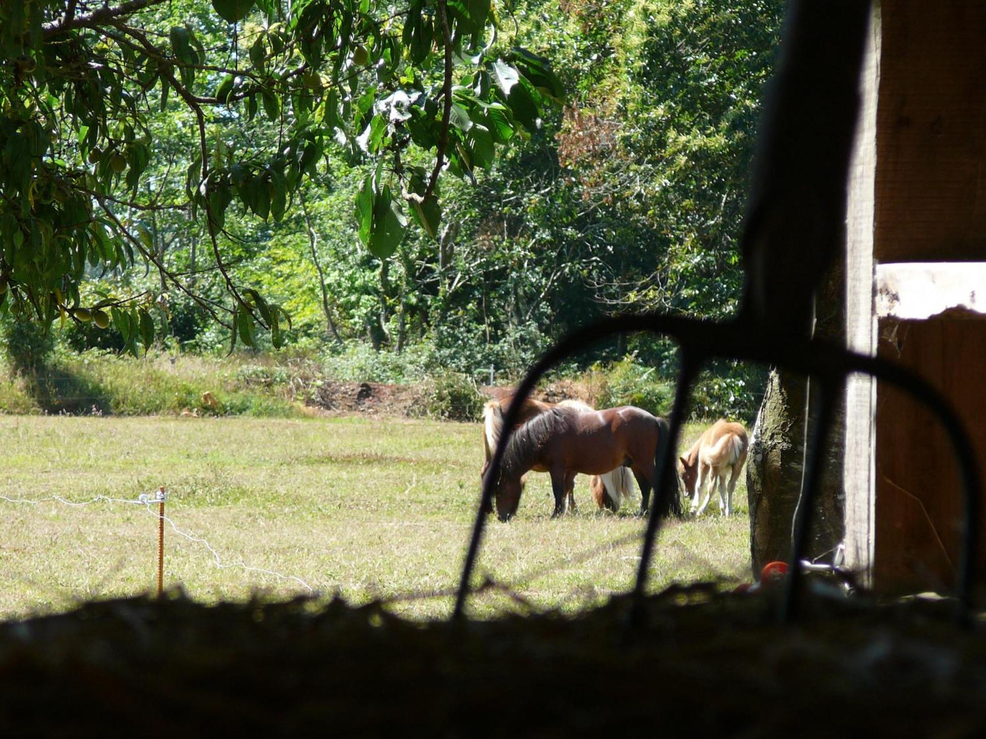 ホテル La Ferme De Kerhors Tréméoc エクステリア 写真