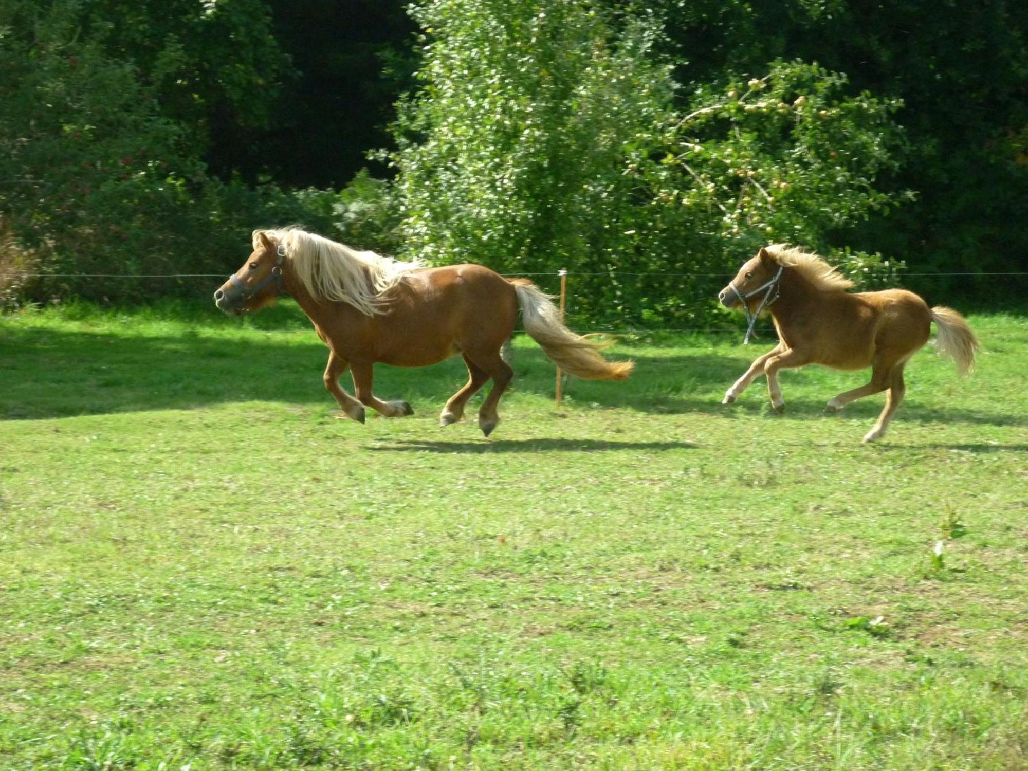 ホテル La Ferme De Kerhors Tréméoc エクステリア 写真