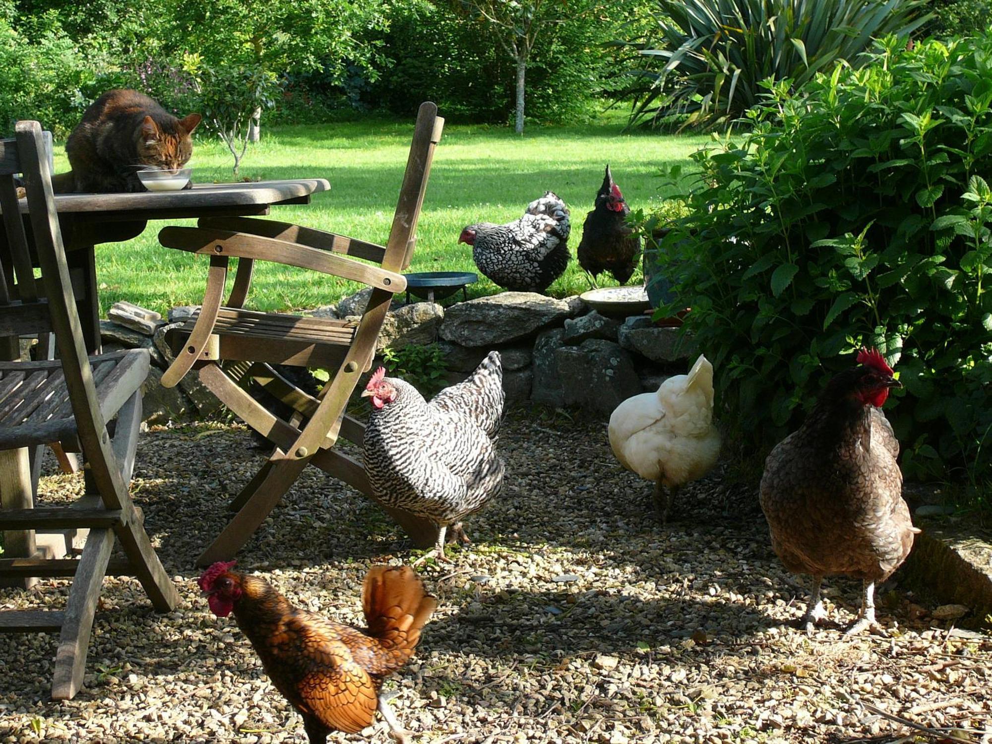ホテル La Ferme De Kerhors Tréméoc エクステリア 写真